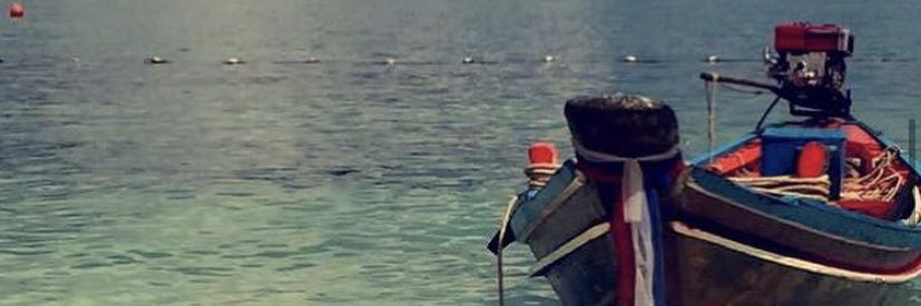 Erica Collins banner