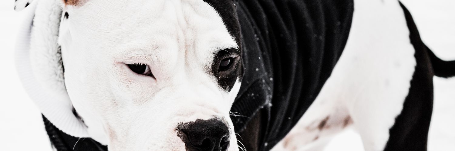 ragin haverfield banner