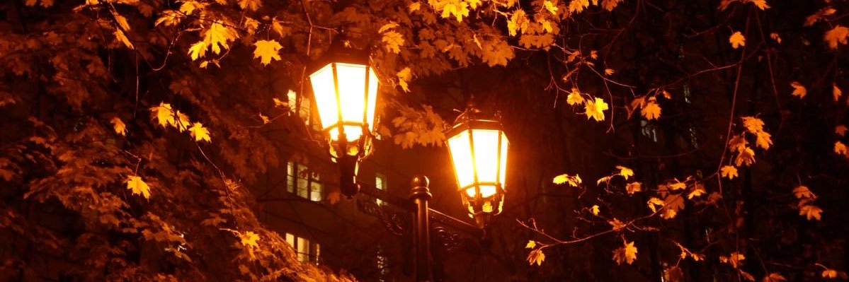 Sister Lyra 🃏💫 banner