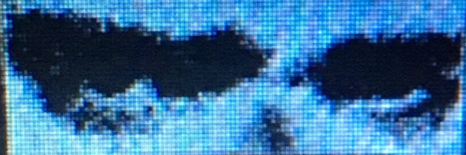 rizloski's profile banner image