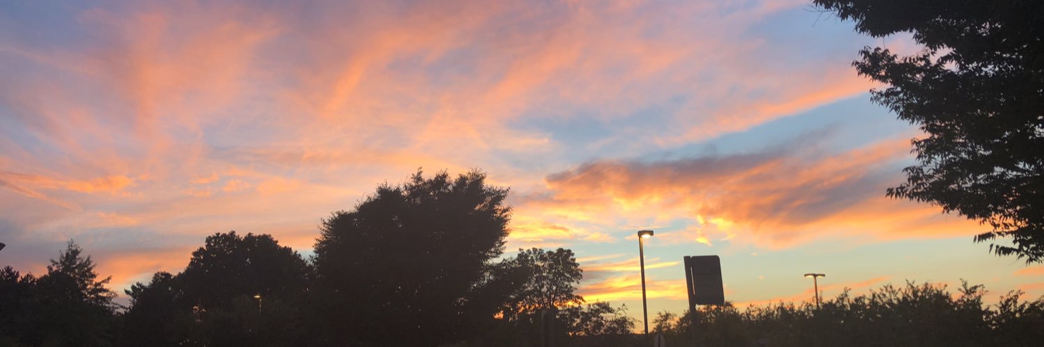 GavinBerger's profile banner image