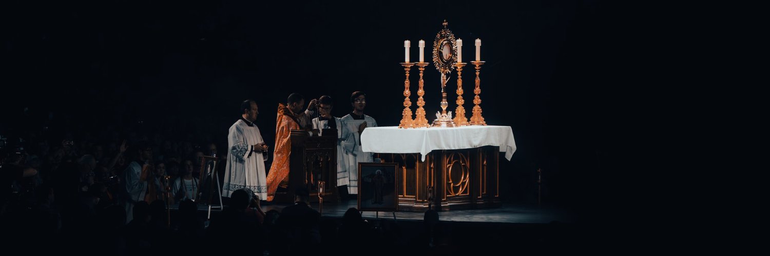 Drew The Catholic's banner
