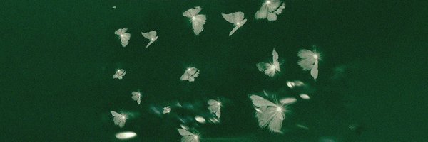 M0CAIN Profile Banner