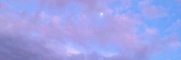 bludiluna's profile banner image