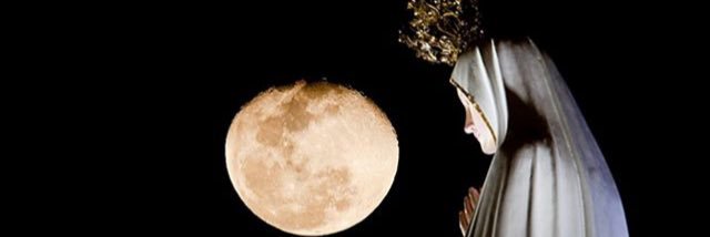 Allistephh's profile banner image
