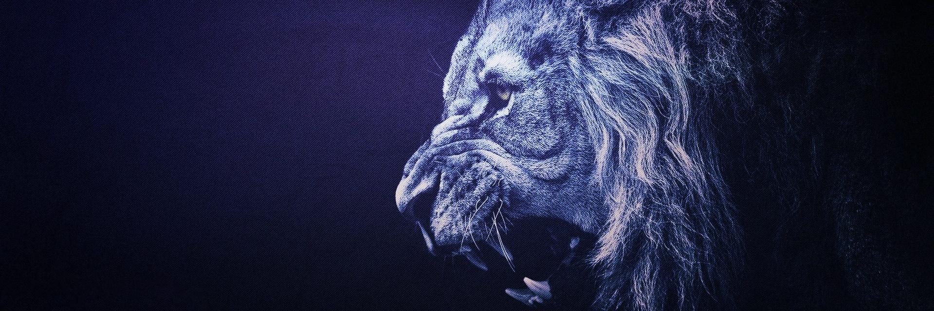 ajtm82's profile banner image