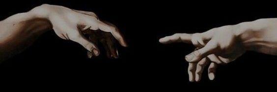 Negin1219's profile banner image