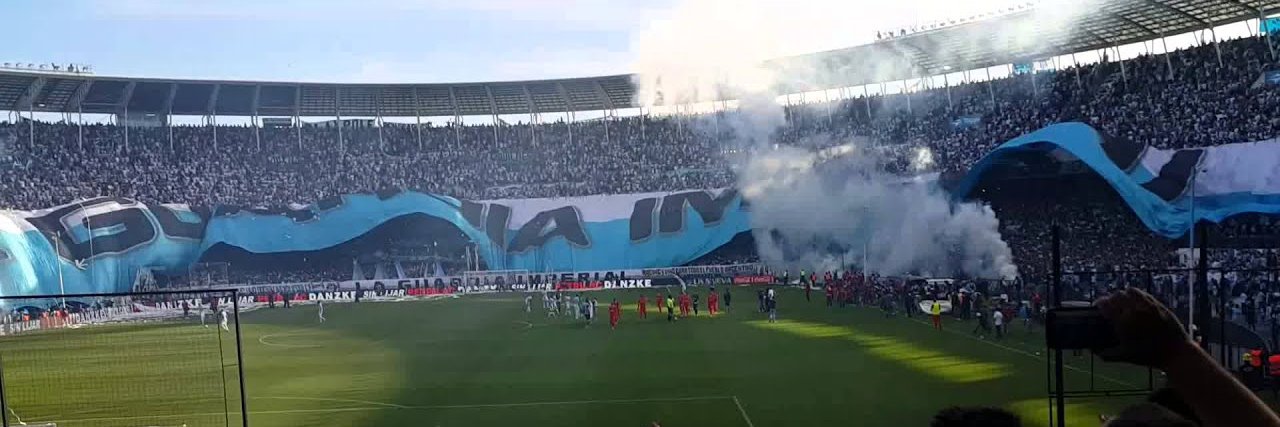 Treeckodemia RC banner