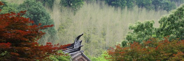 kexinrong Profile Banner