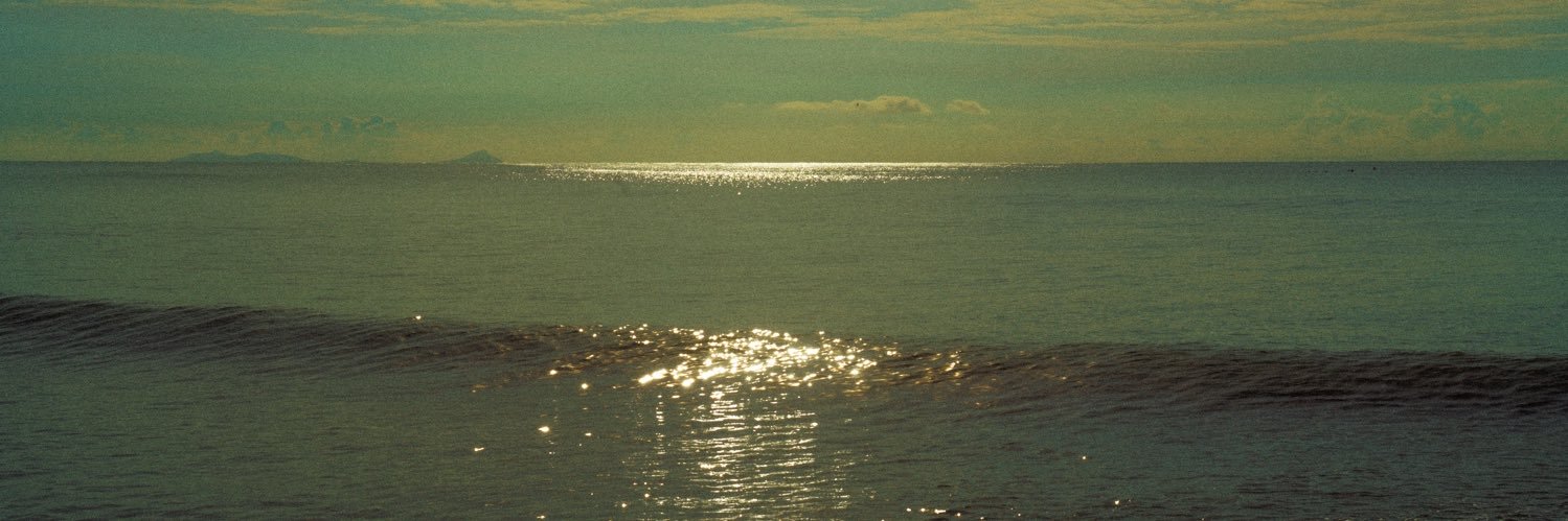 Carlos Bracho banner