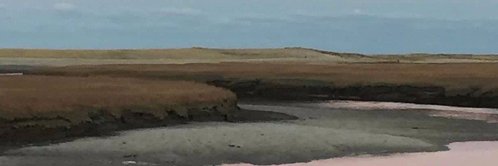 The Coping Box Co banner