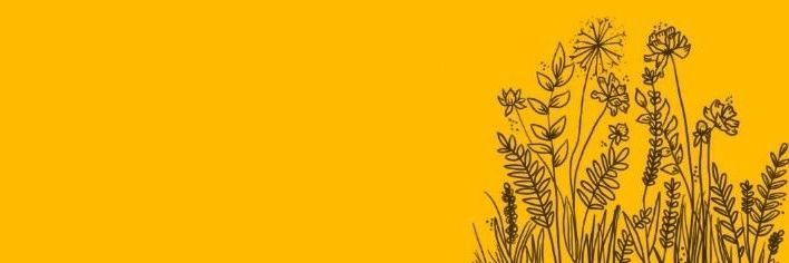 Vinaykaaaa's profile banner image