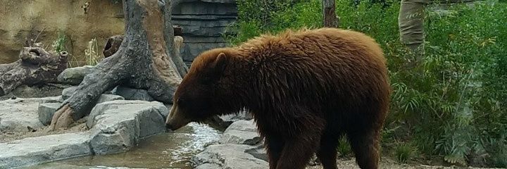 EkoAdiW's profile banner image