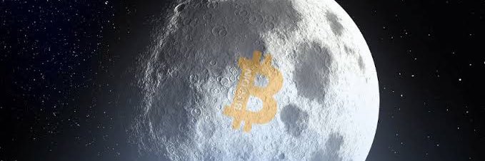 StarboyCripto's profile banner image