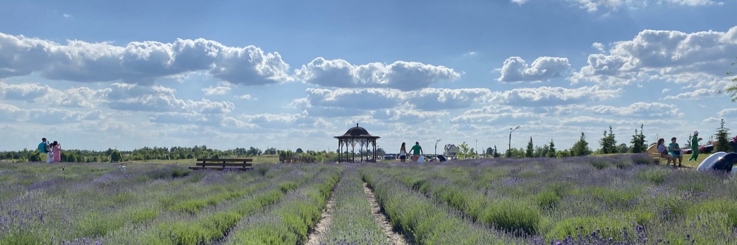 skyf 🇺🇦 banner