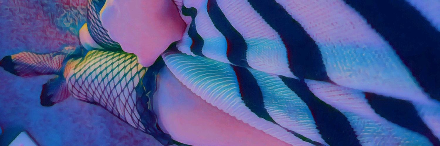 NamelessQueenOF🔞 banner