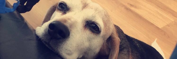 Sof_Hurt's profile banner image
