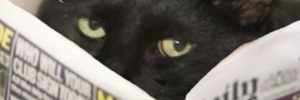 crimecontainer Profile Banner
