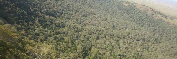 U_E_C_O Profile Banner