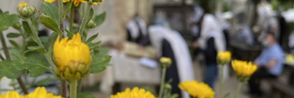 Ofer_Hadad Profile Banner