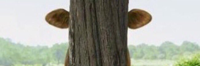 drliamabbottt's profile banner image