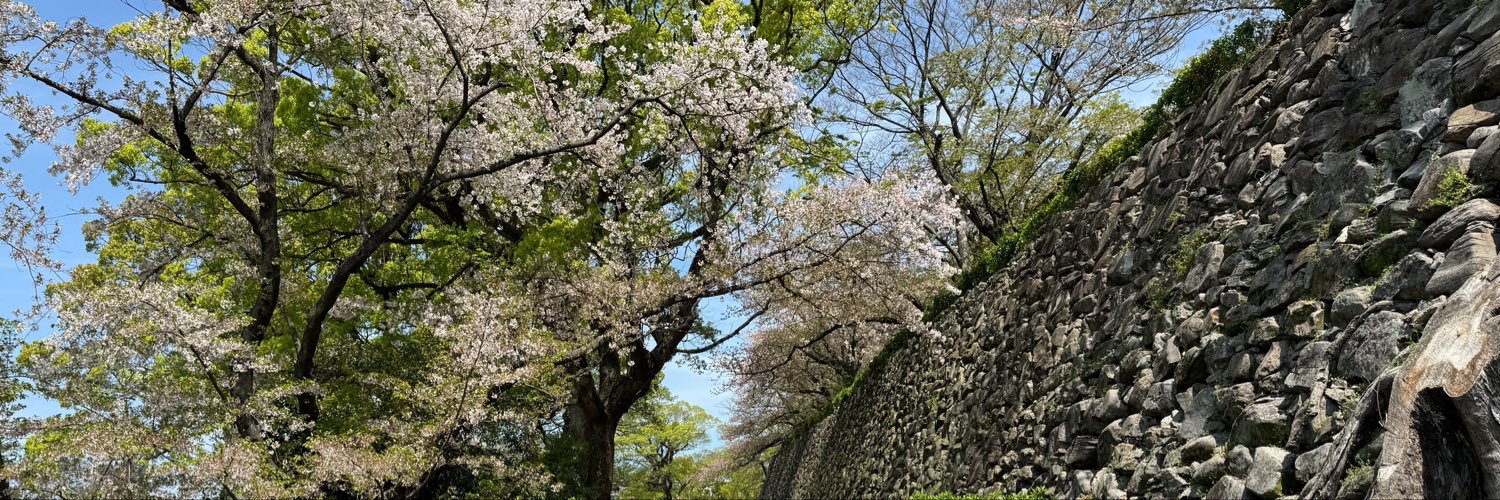 IJSINGjohnny's profile banner image