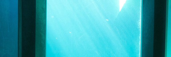 Navigatoraye Profile Banner