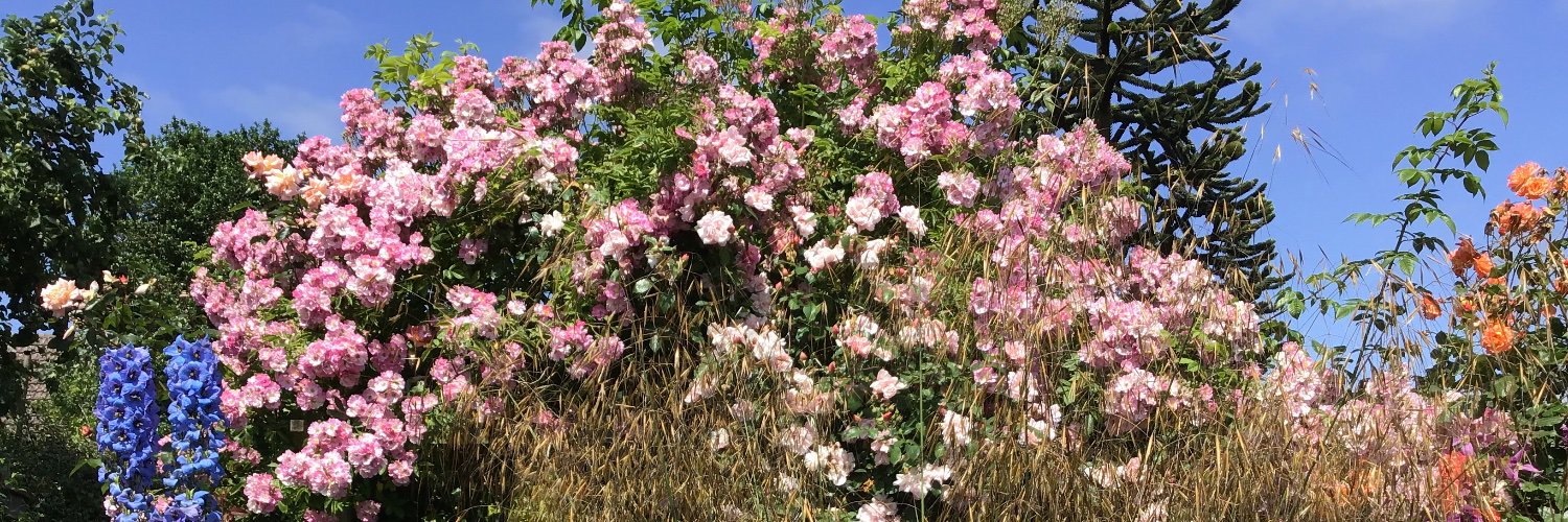 parnellmarion's profile banner image