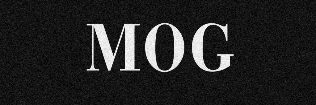 salimshady (mog/acc) 🫵😹 banner