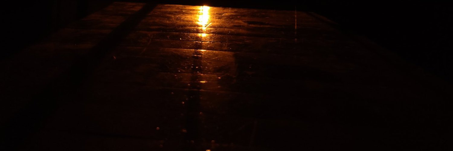 luvmyukulele's profile banner image