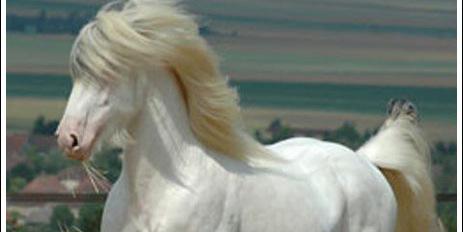 UK8787's profile banner image