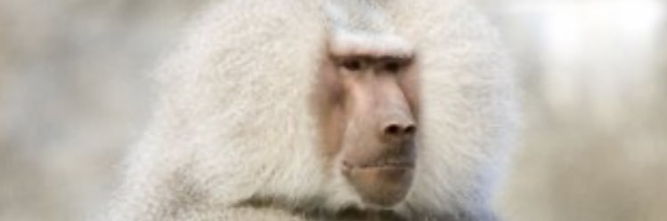 BabouindeBz's profile banner image