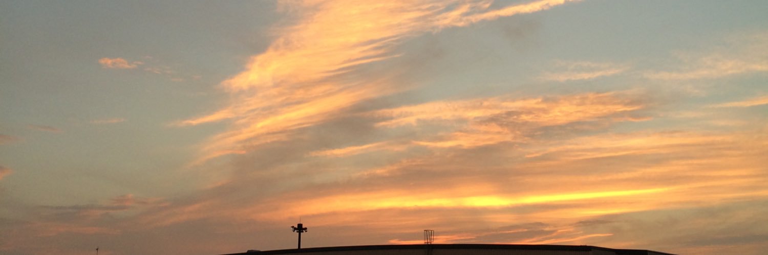 janal8808's profile banner image
