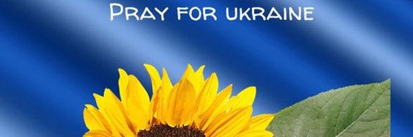 LiisaValila Profile Banner