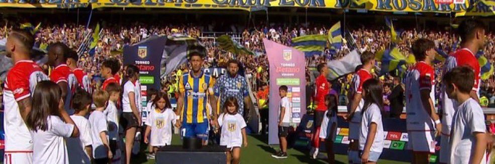 Delfina banner