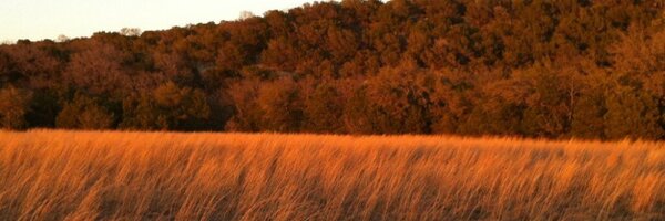 ProfeRoss Profile Banner