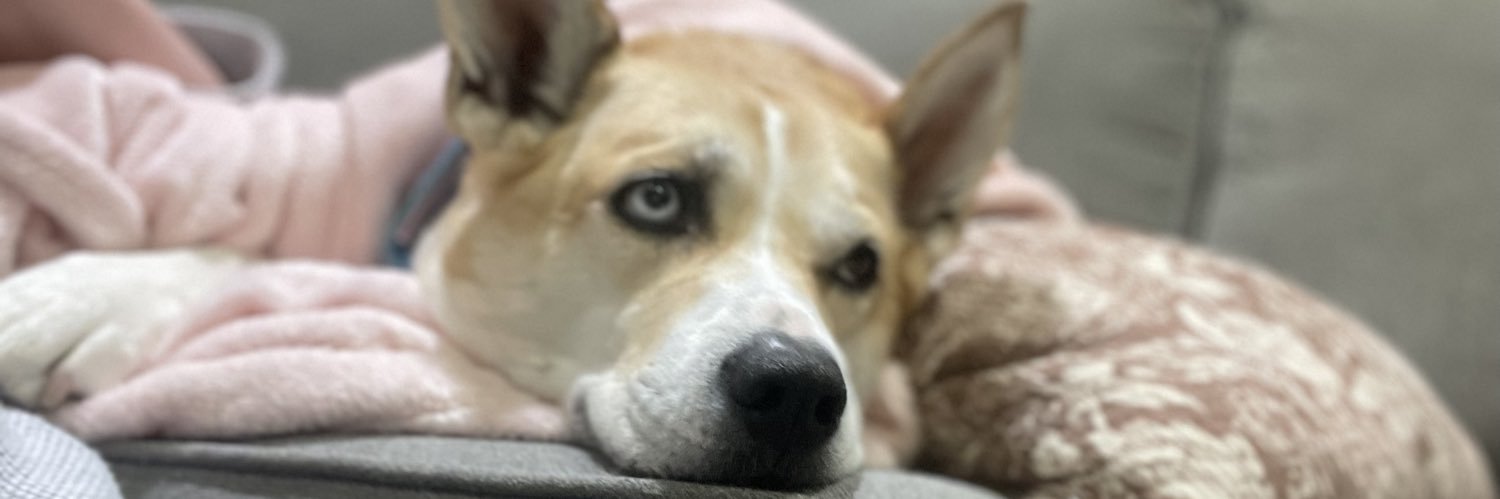 dallastaylor5's profile banner image