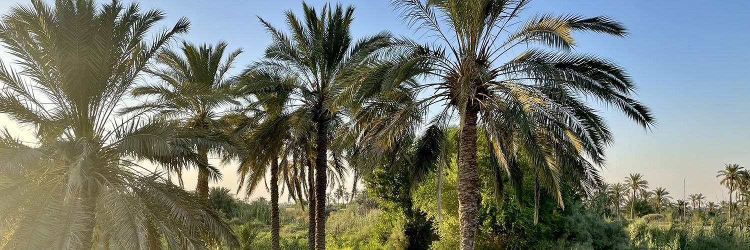 Yesar Al-Maleki يَسار banner