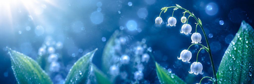 valkosmxonlight's profile banner image