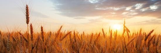 Zschmidty55's profile banner image