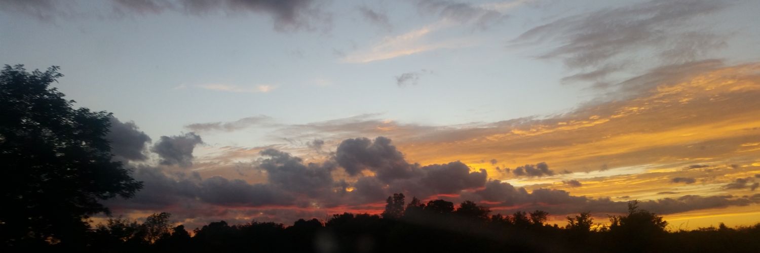 Damij's profile banner image