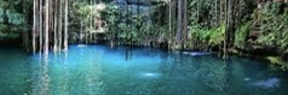 Cassie Carter's banner