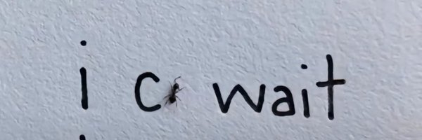 Dontslavebees Profile Banner