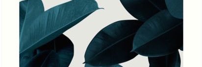 eoldsb's profile banner image