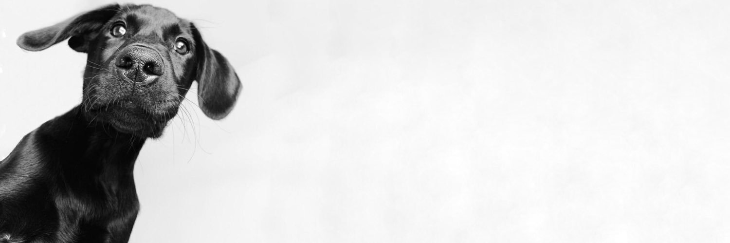 chelszeb's profile banner image