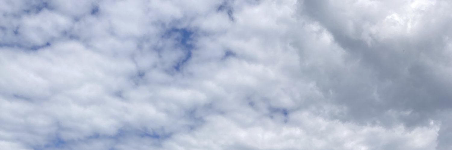 Tim Düsenmann banner