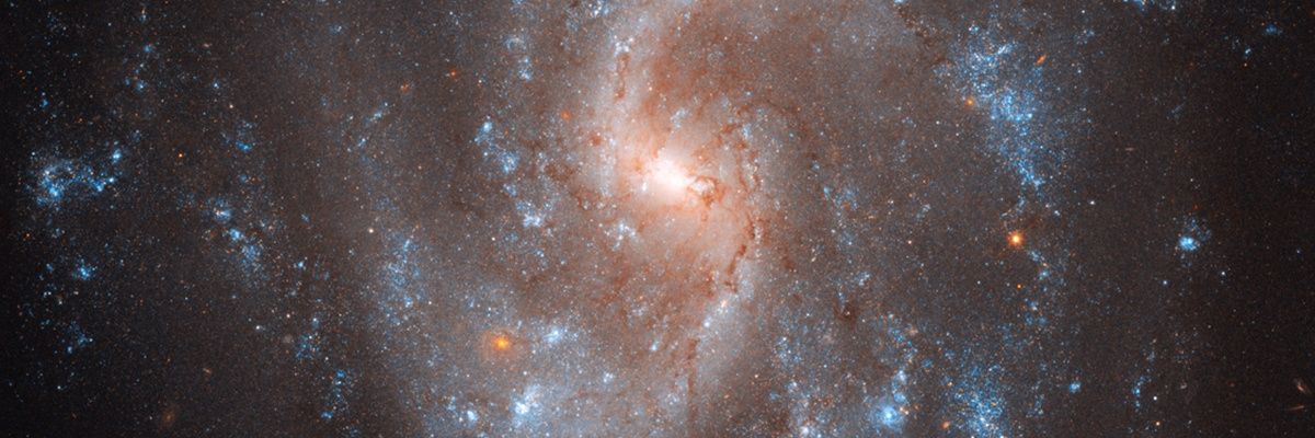 DelfiiSerrano's profile banner image