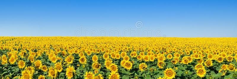 jenjamx6's profile banner image