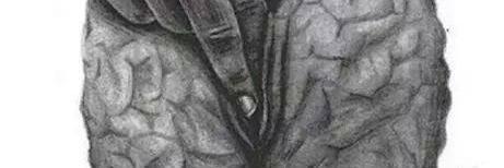 dgpatto's profile banner image
