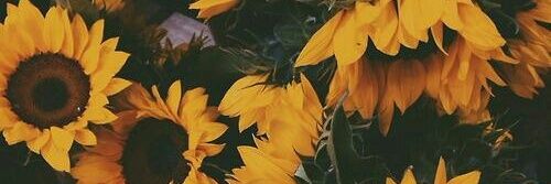 LoganRobison_'s profile banner image
